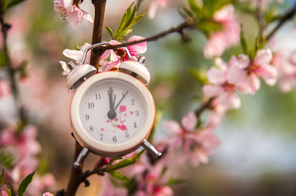 [freepicdownloader.com]-concept-beginning-spring-large